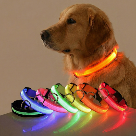 Premium LED Safety Dog Collar – High-Visibility Glow-in-the-Dark Night Walking Collar, Adjustable & Durable for Small to Large Dogs