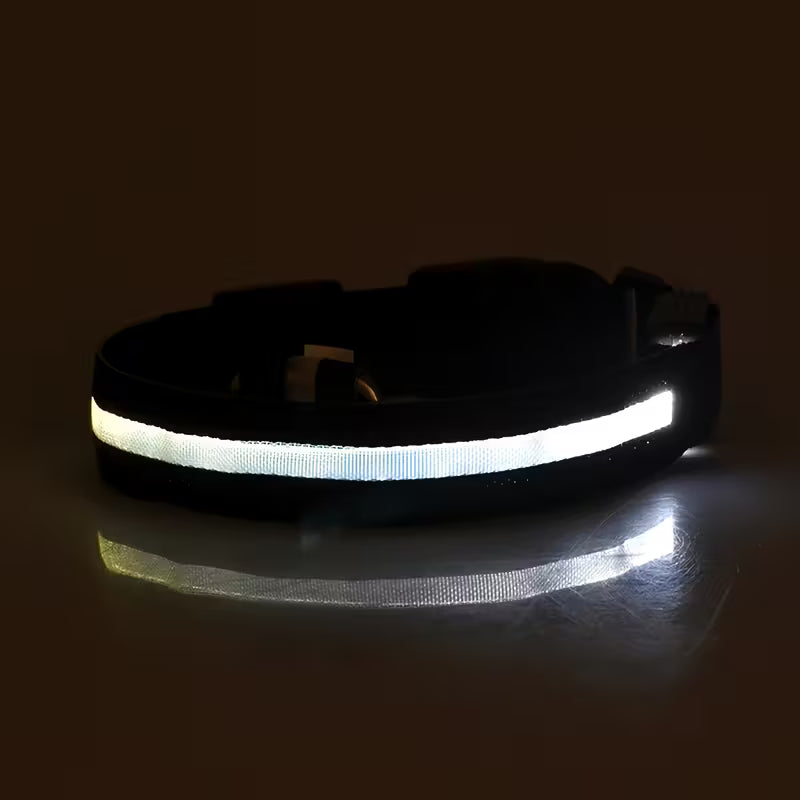 Premium LED Safety Dog Collar – High-Visibility Glow-in-the-Dark Night Walking Collar, Adjustable & Durable for Small to Large Dogs