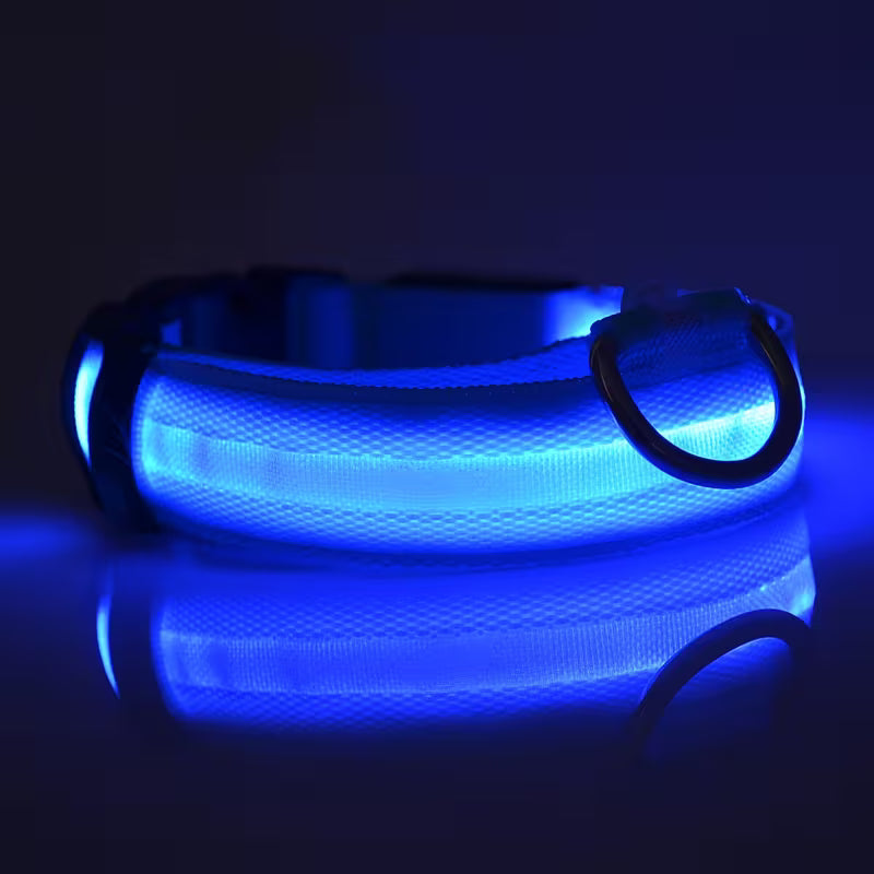 Premium LED Safety Dog Collar – High-Visibility Glow-in-the-Dark Night Walking Collar, Adjustable & Durable for Small to Large Dogs