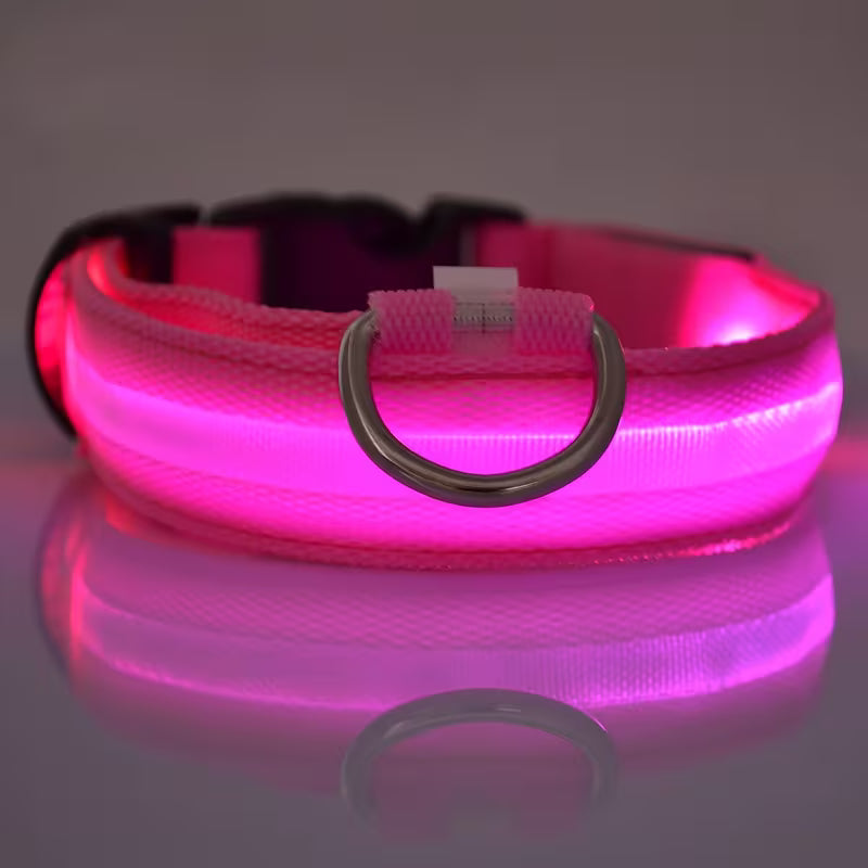 Premium LED Safety Dog Collar – High-Visibility Glow-in-the-Dark Night Walking Collar, Adjustable & Durable for Small to Large Dogs