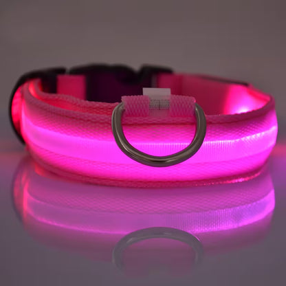Premium LED Safety Dog Collar – High-Visibility Glow-in-the-Dark Night Walking Collar, Adjustable & Durable for Small to Large Dogs
